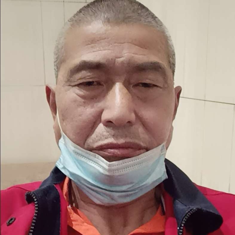 高飞的隼的照片