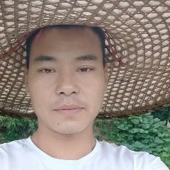 小猫咪踢淡淡的照片