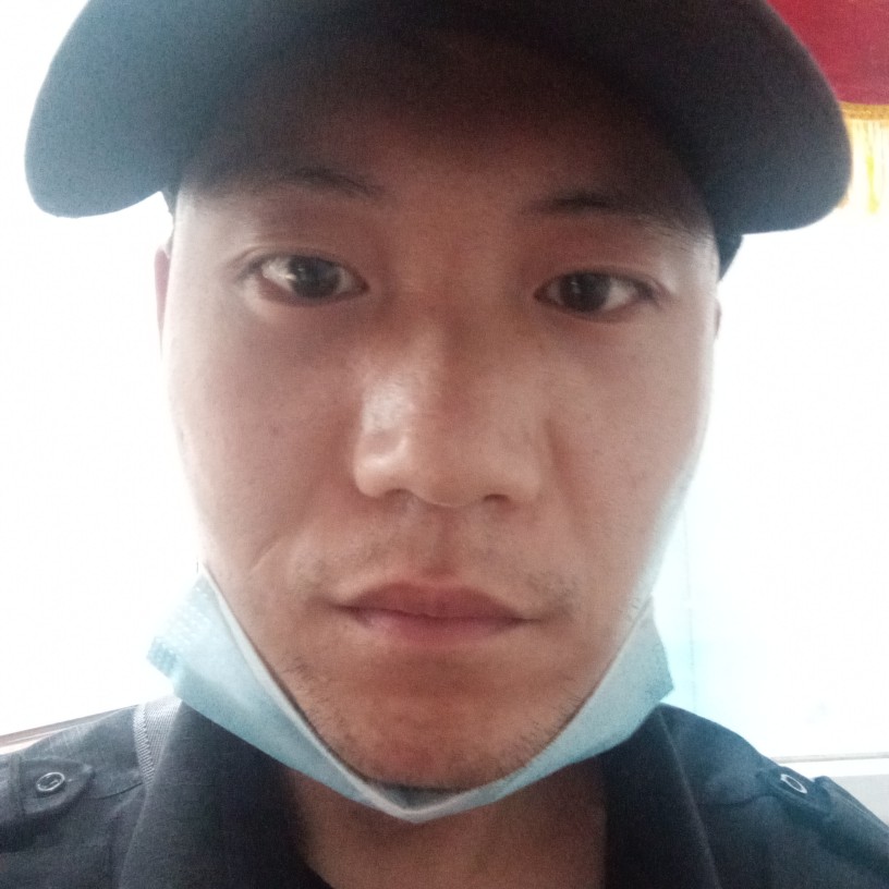 长颈鹿拿安静的照片