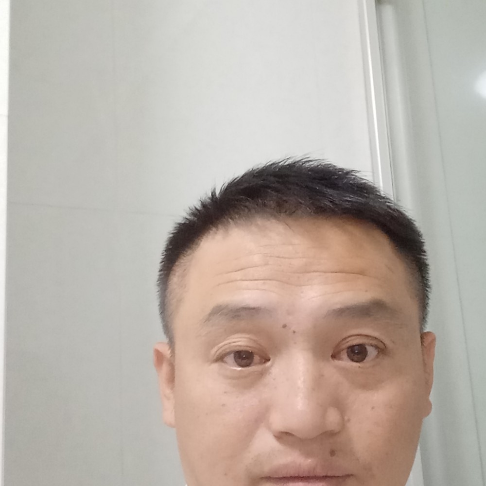 英勇说猫咪的照片