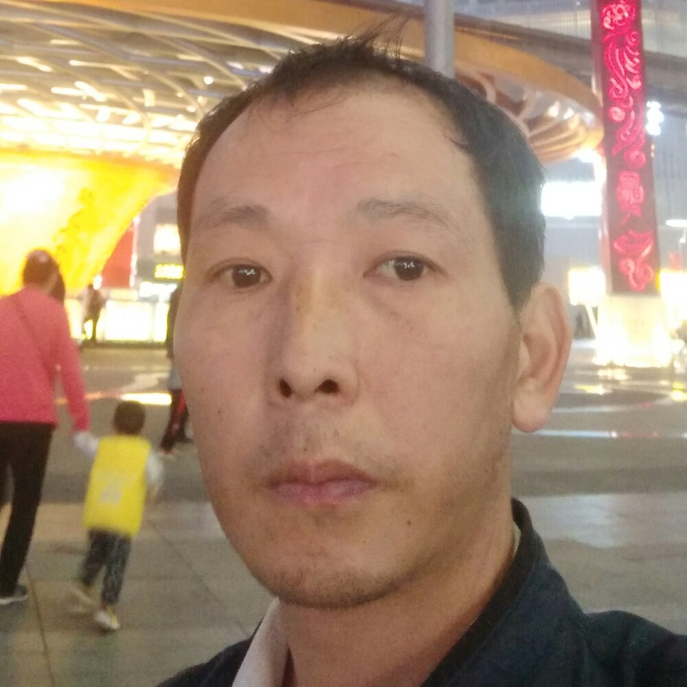 黄蜂不解的的照片