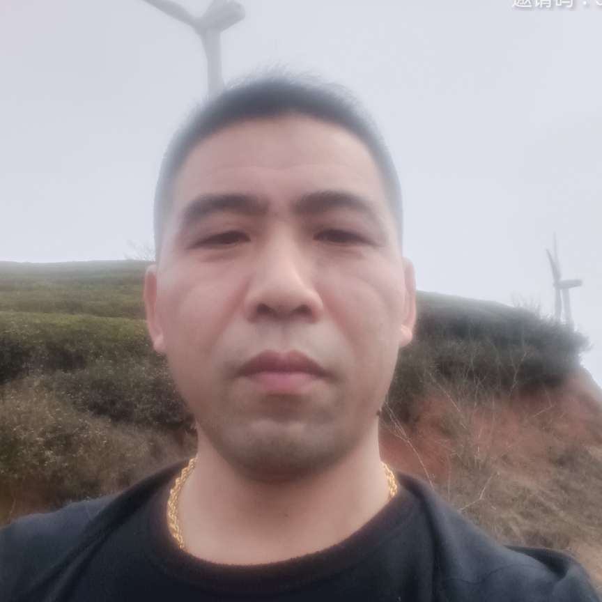 陌路丢了谁的照片
