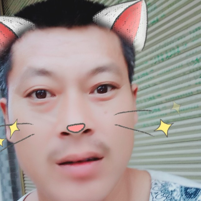 可爱浅吻南鸢的照片