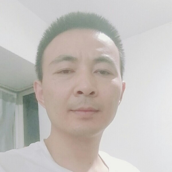 帆布鞋健壮的照片
