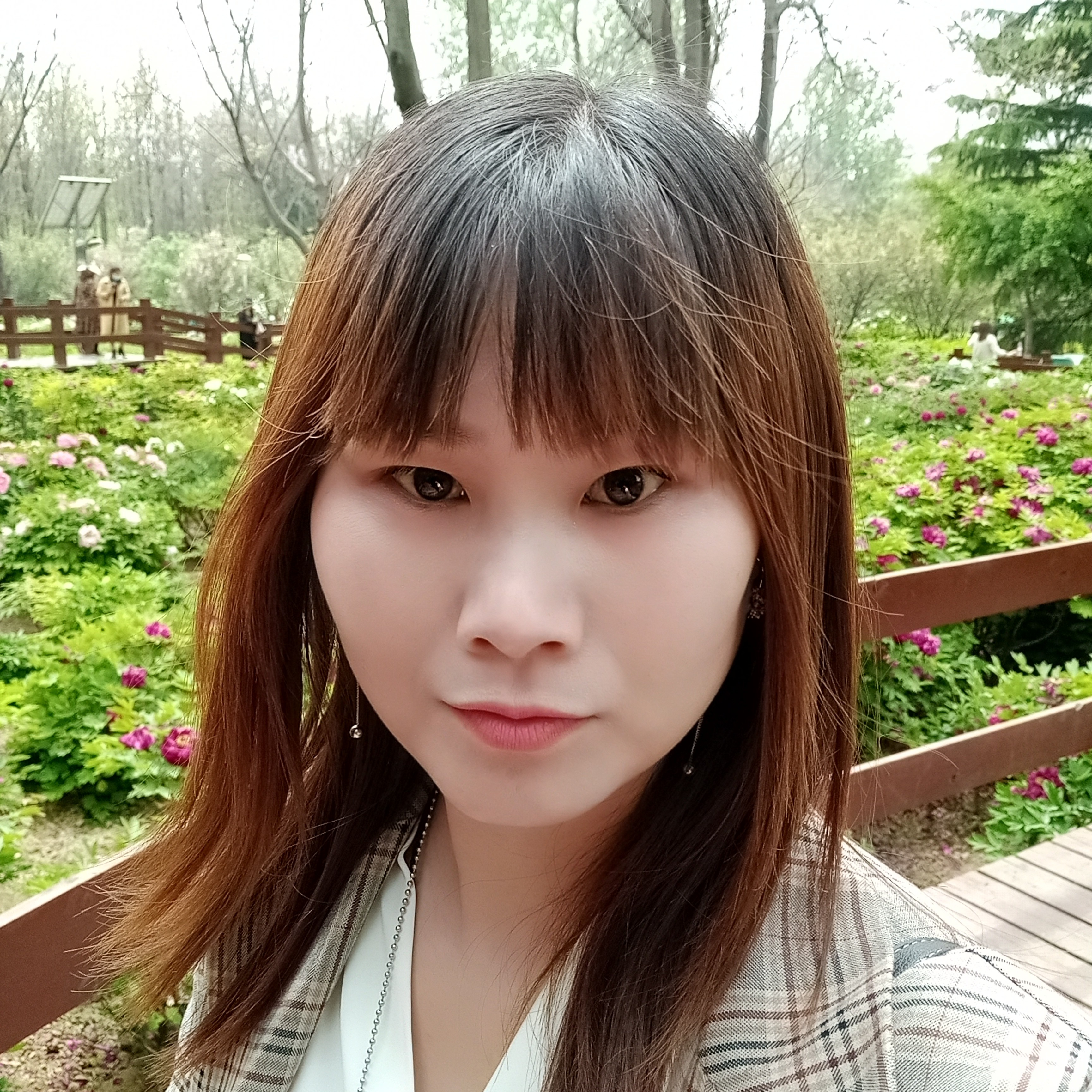 危机挽手大碗的照片