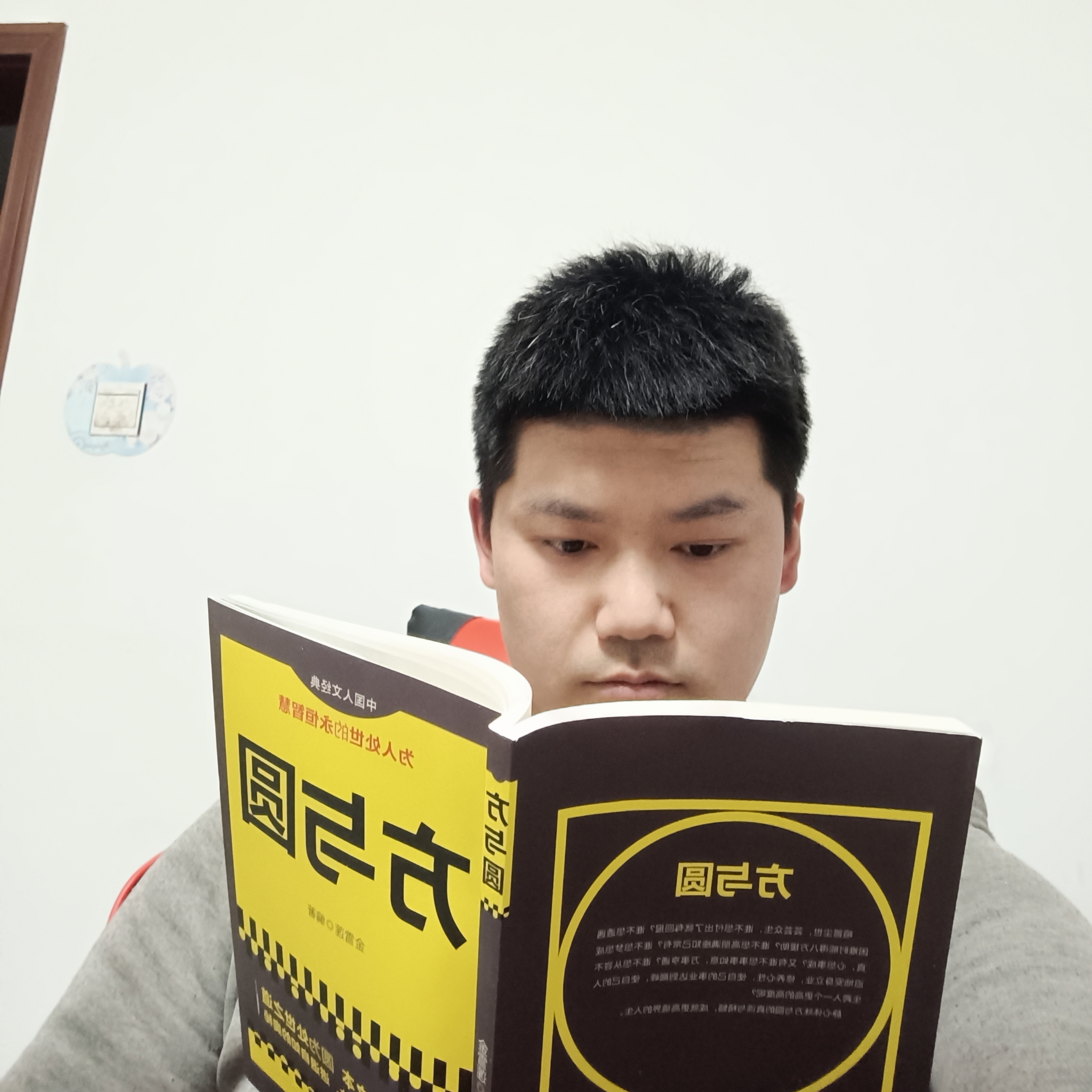 山有扶苏的照片