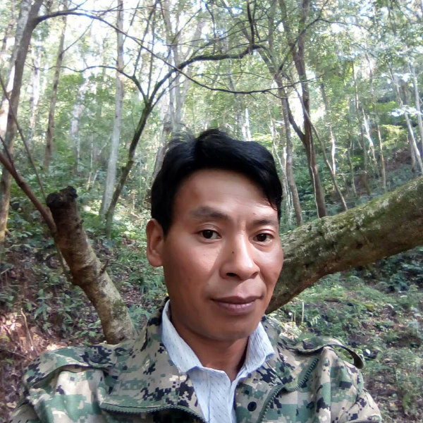 可靠笑浮波的照片