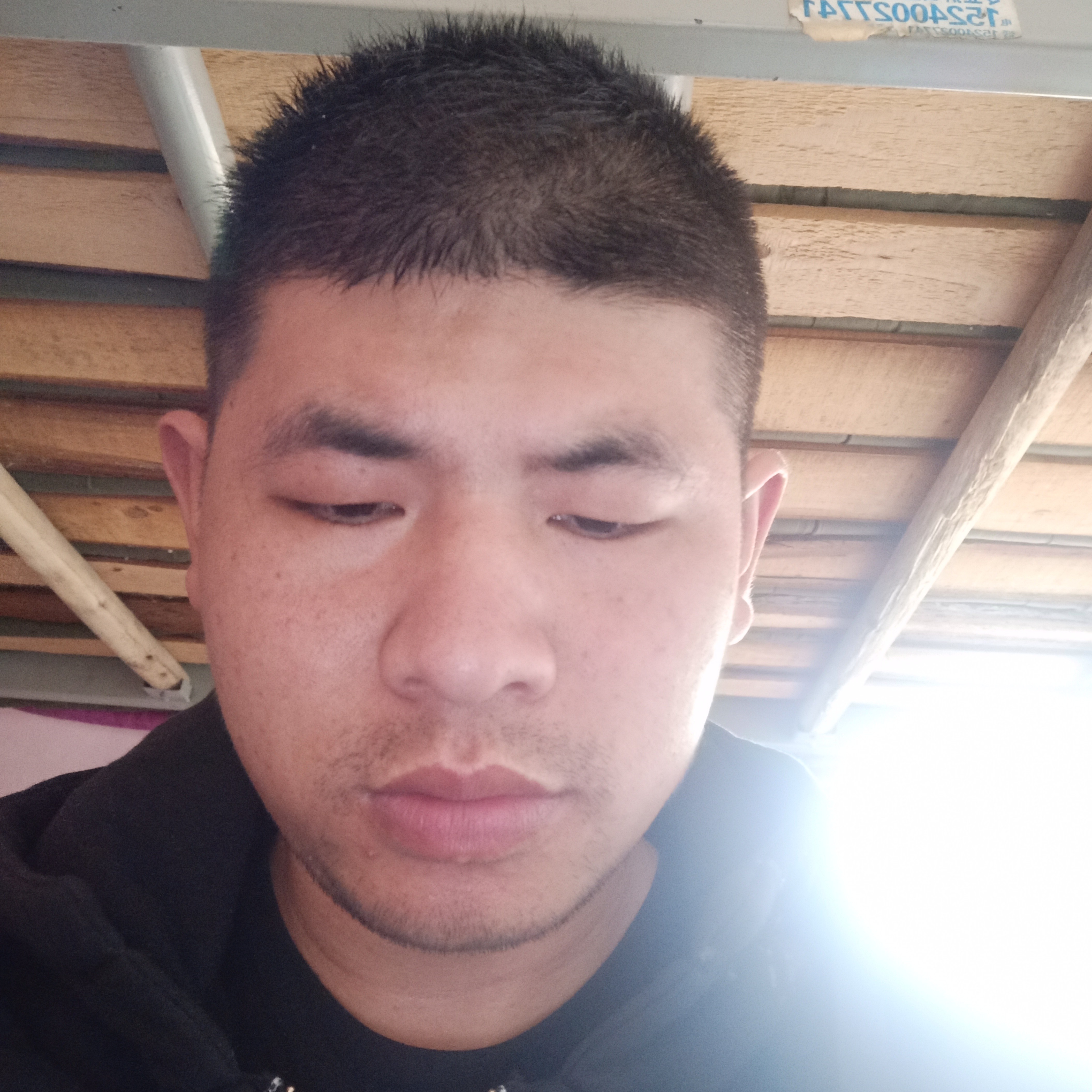 丁鹤的照片