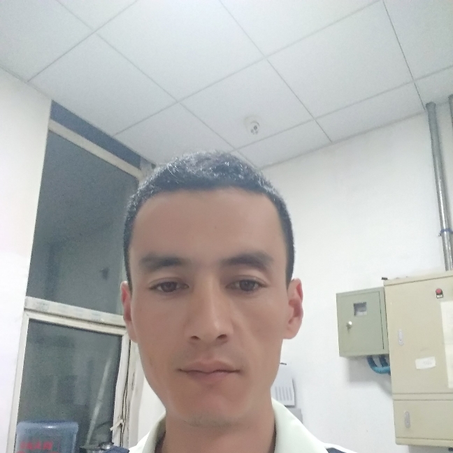 树叶闪闪的照片