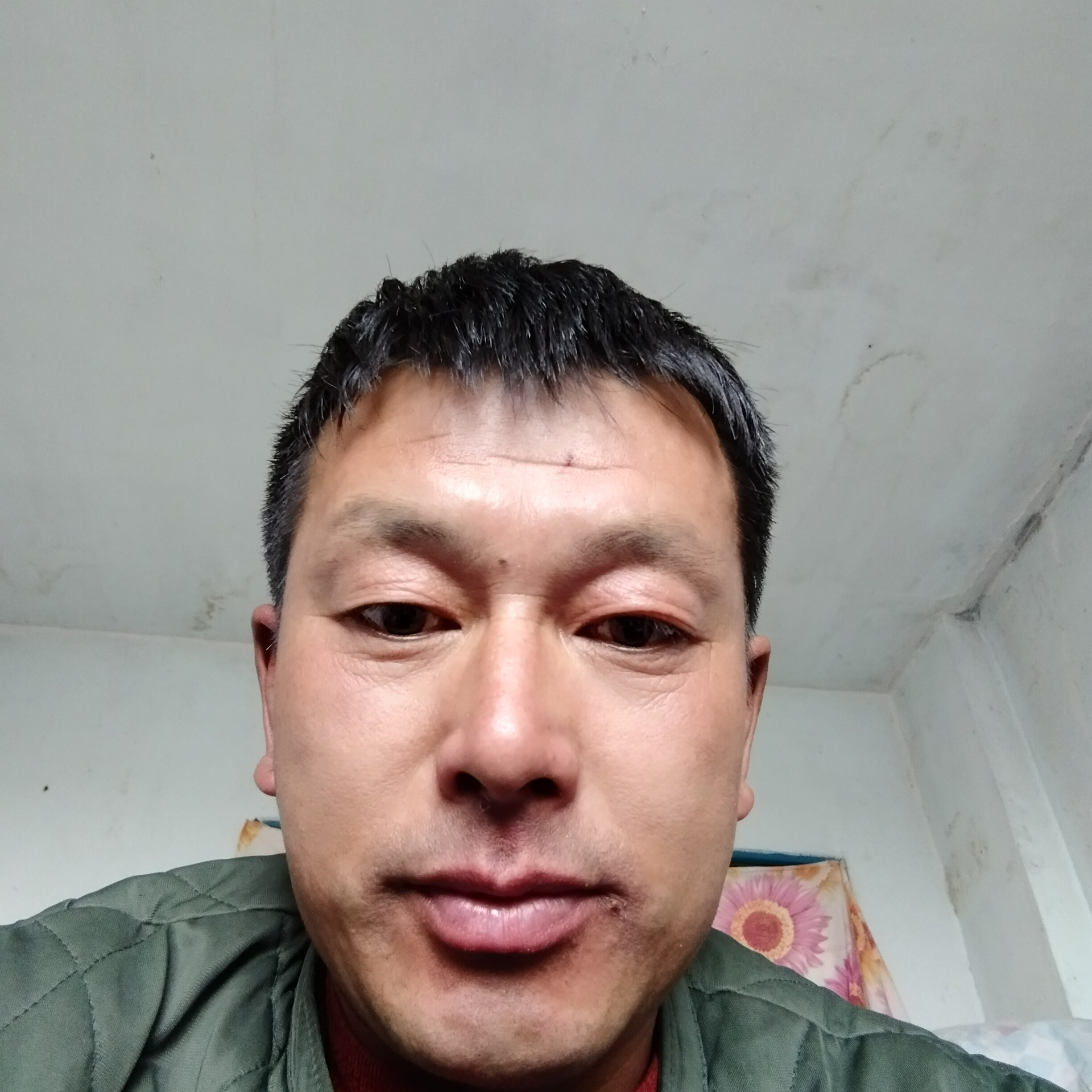 背包向含蓄的照片