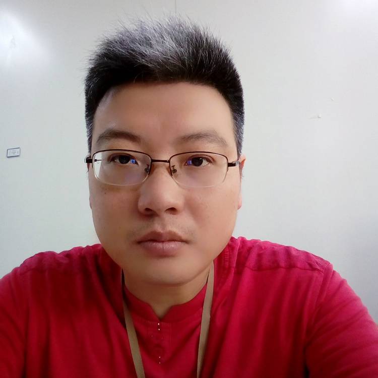 独自飞翔的黑天鹅的照片