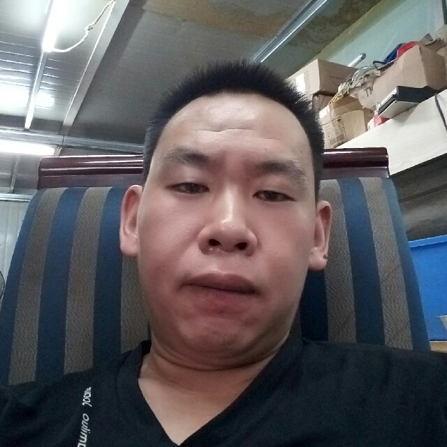 忧郁白猫的照片