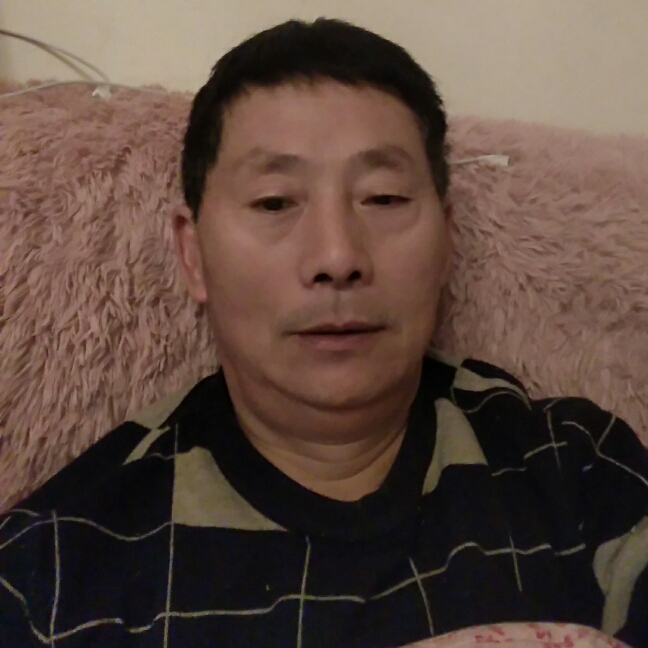 悦耳鸡的照片