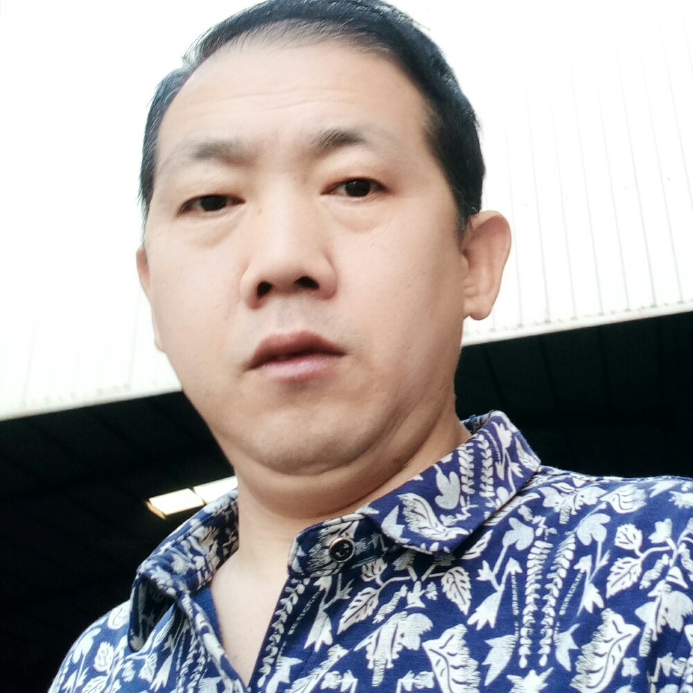 认真树叶的照片