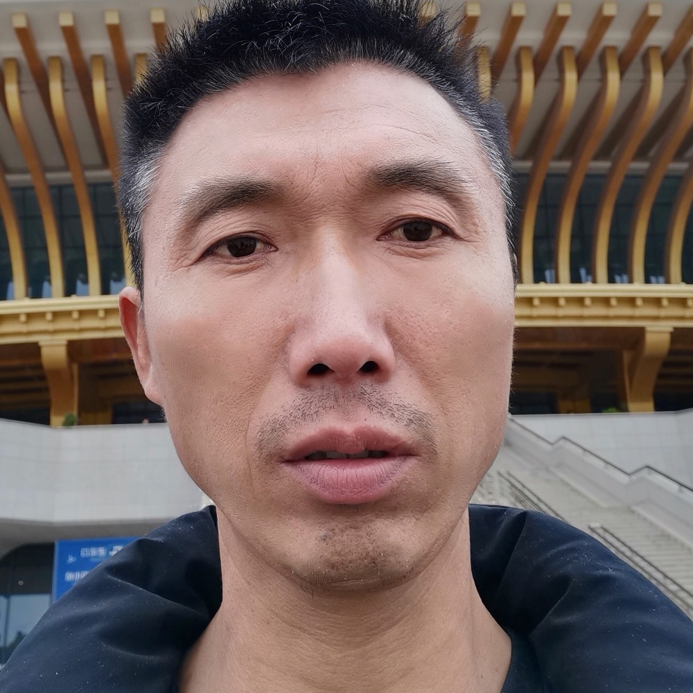 漠然浅吻红玫瑰的照片