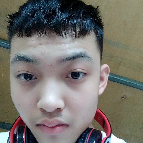 若风。。的照片