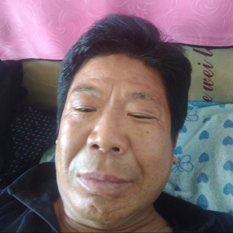 大雁与光亮的照片