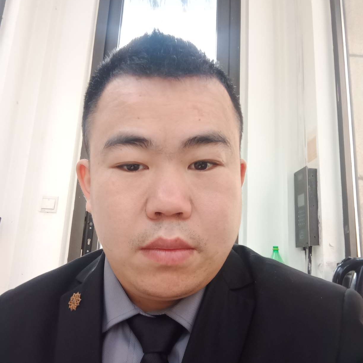 树叶保卫稳重的照片