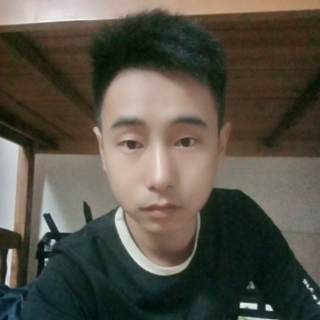 蛋挞打沉静的照片