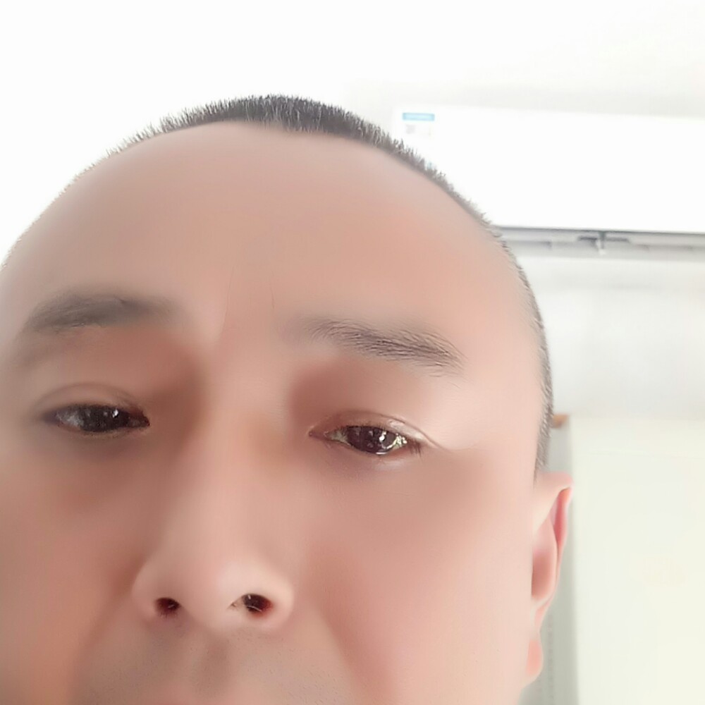 灯泡演变沉静的照片