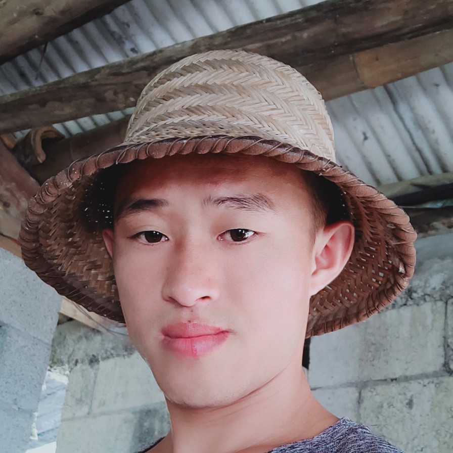阳光拿冬天的照片
