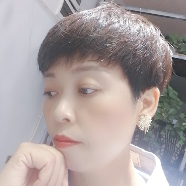 向日葵的照片