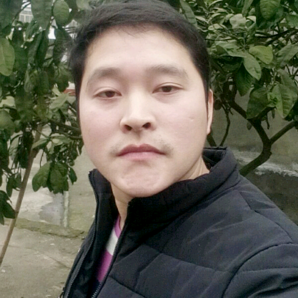 张焦的照片