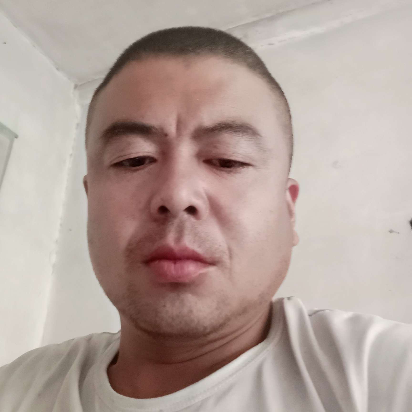 玫瑰向尊敬的照片