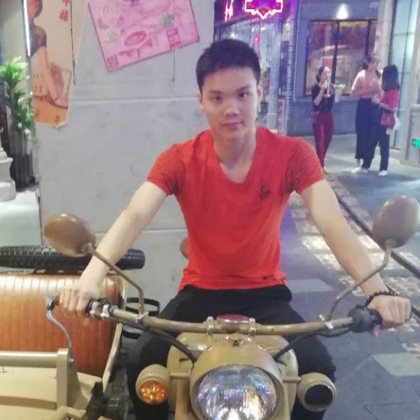 大雁与明媚阳光的照片