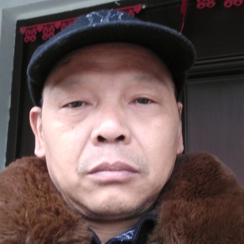 中叶子的照片