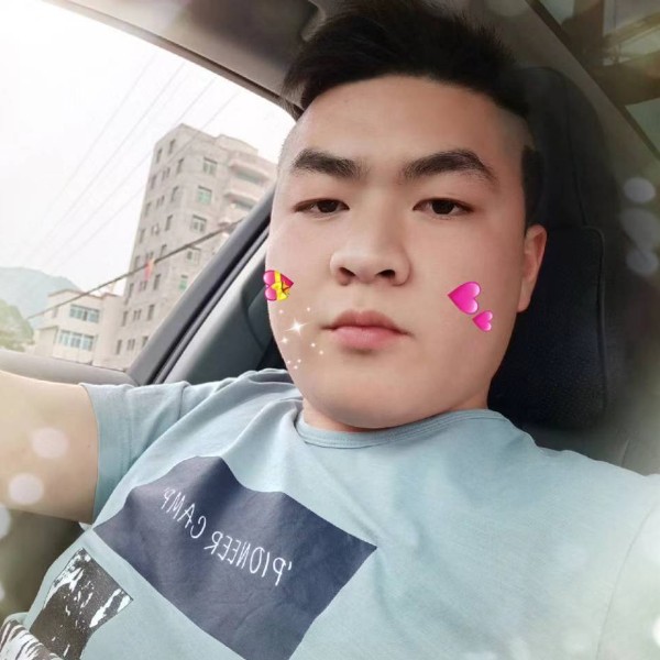 小鸽子简单的照片