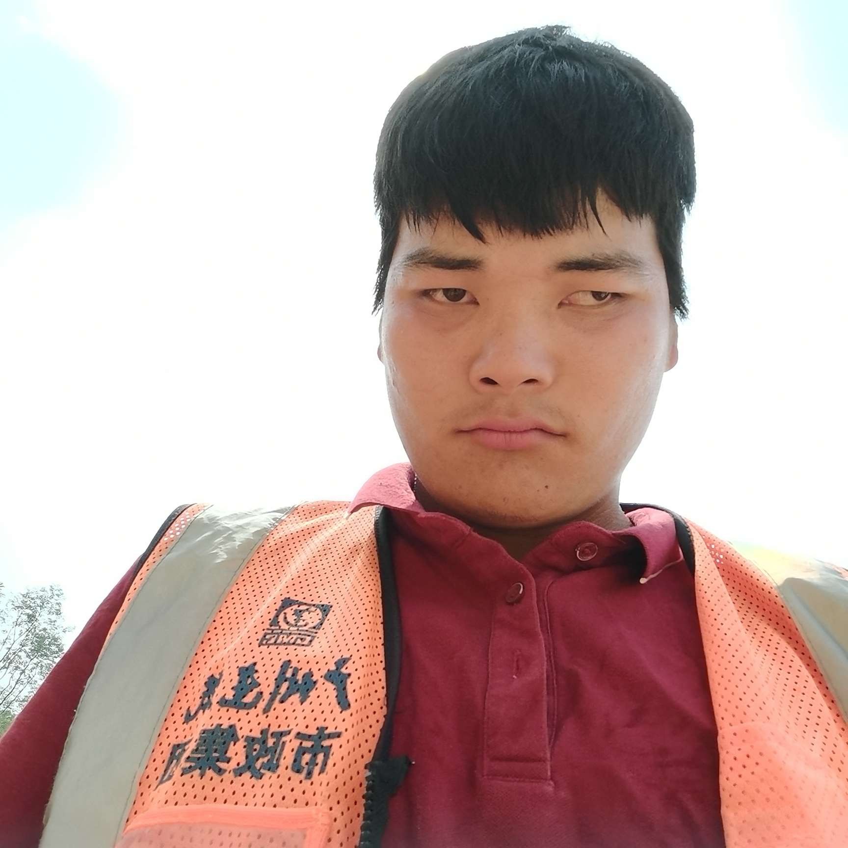 书本向平常的照片