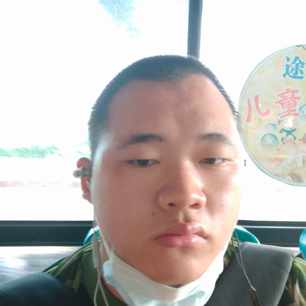 wa小海豚的照片