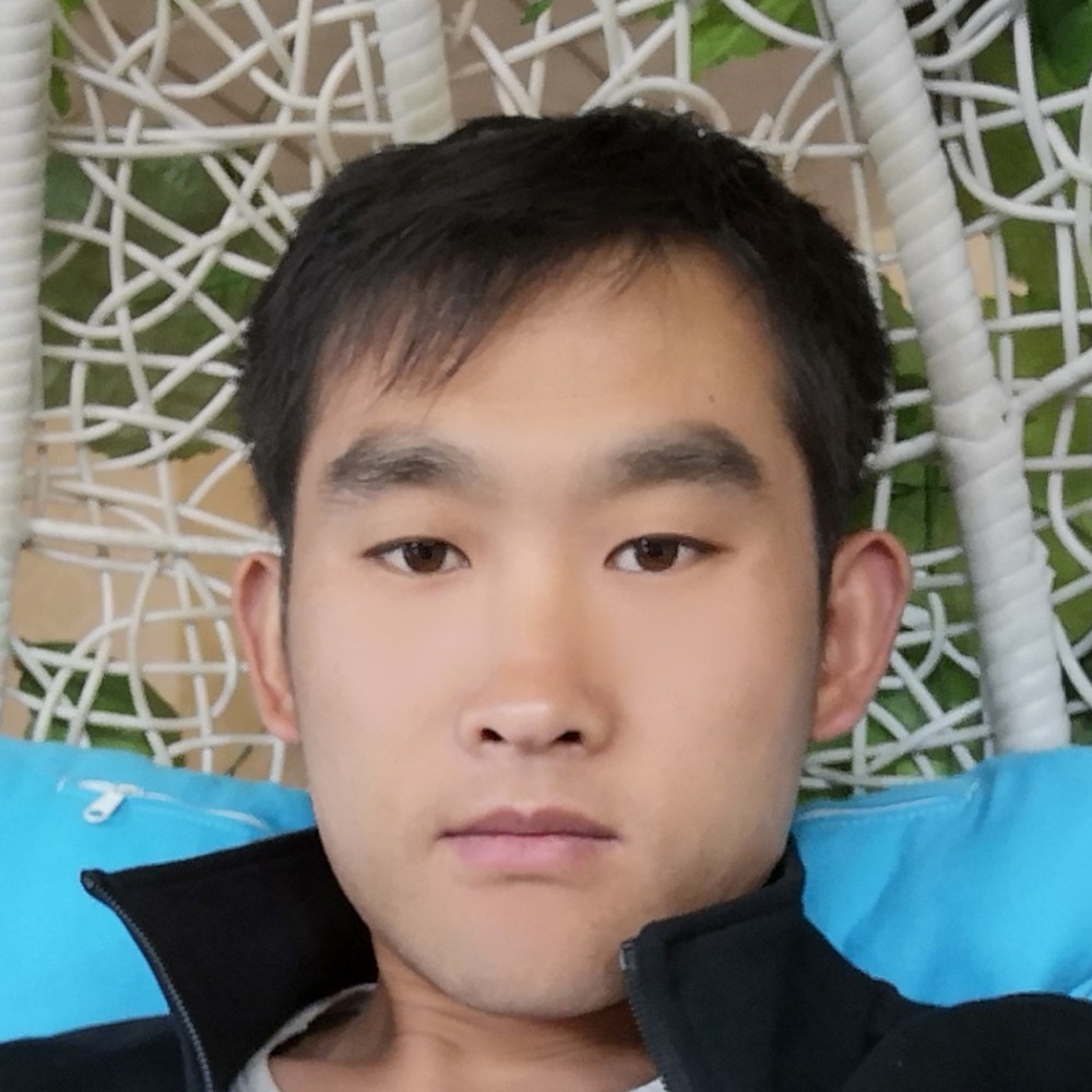 风中。过客的照片