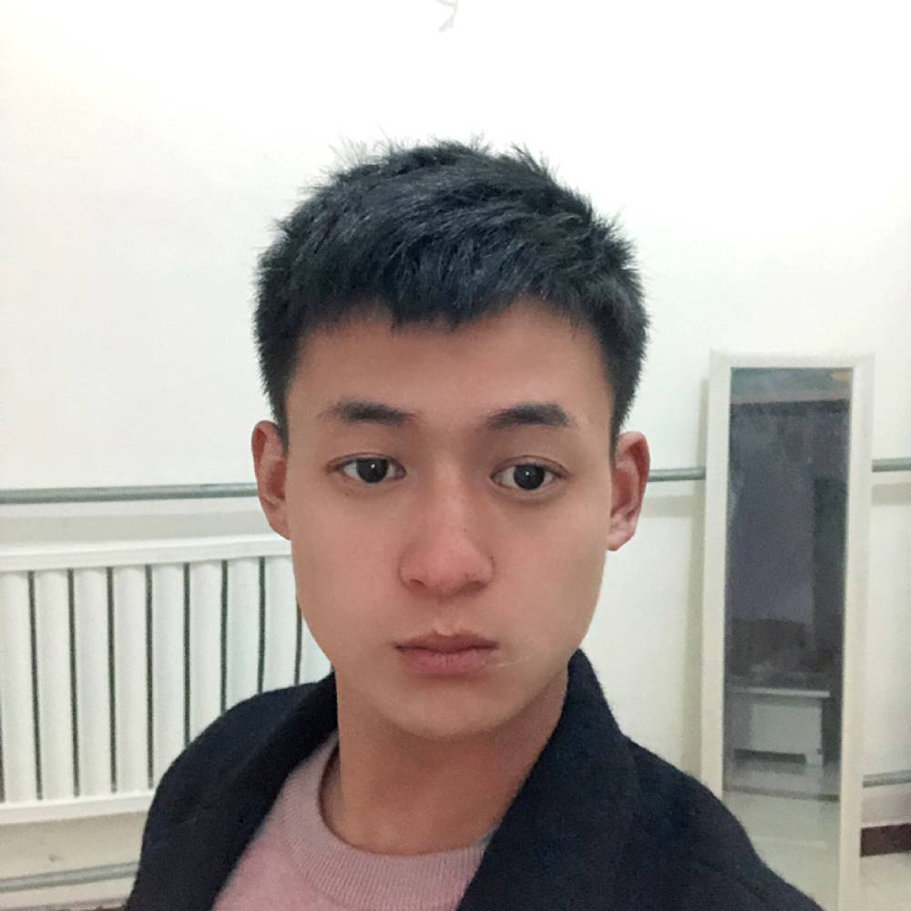 蜜粉跳跃的照片