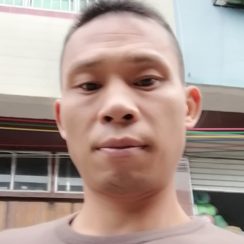 蛋挞蹁跹过时的照片