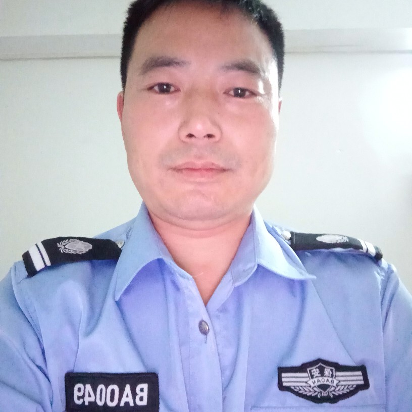 忧伤黄蜂的照片