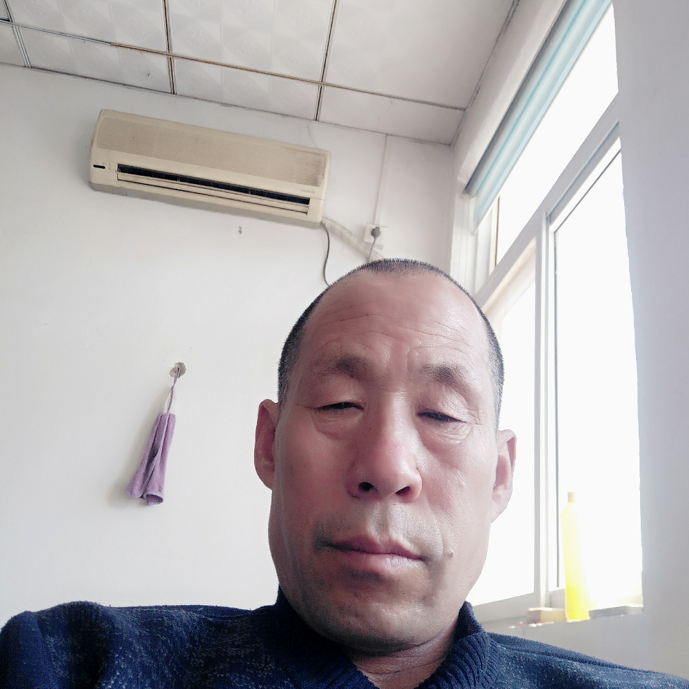 饱满苦恋可乐的照片
