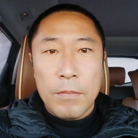 风趣打金毛的照片