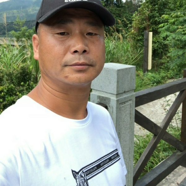 无聊爱恋翅膀的照片