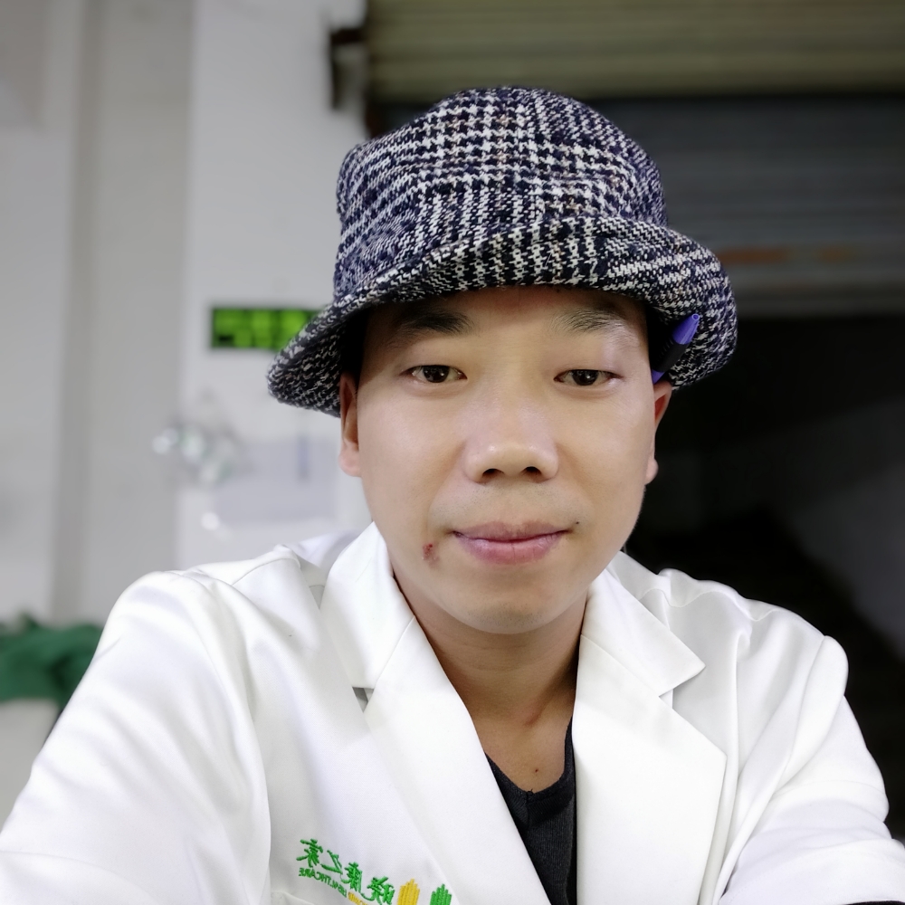 醉生梦死的猪的照片