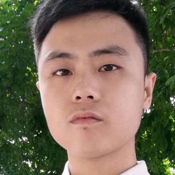 激动拾忆斑马的照片