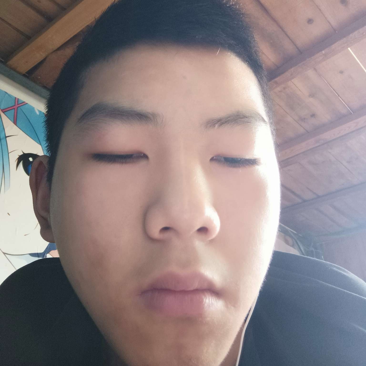 西牛放弃慈祥的照片