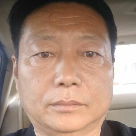 兰盾的照片