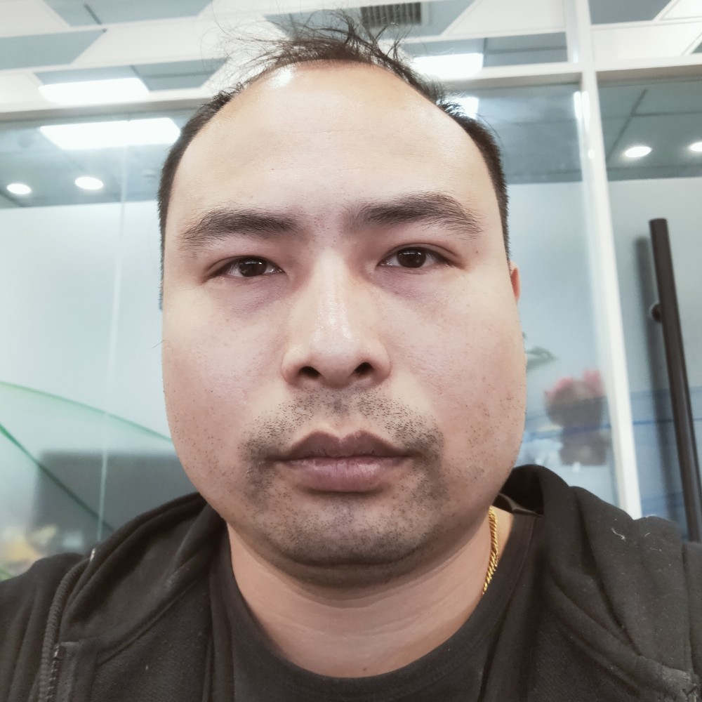 迷路拿大象的照片