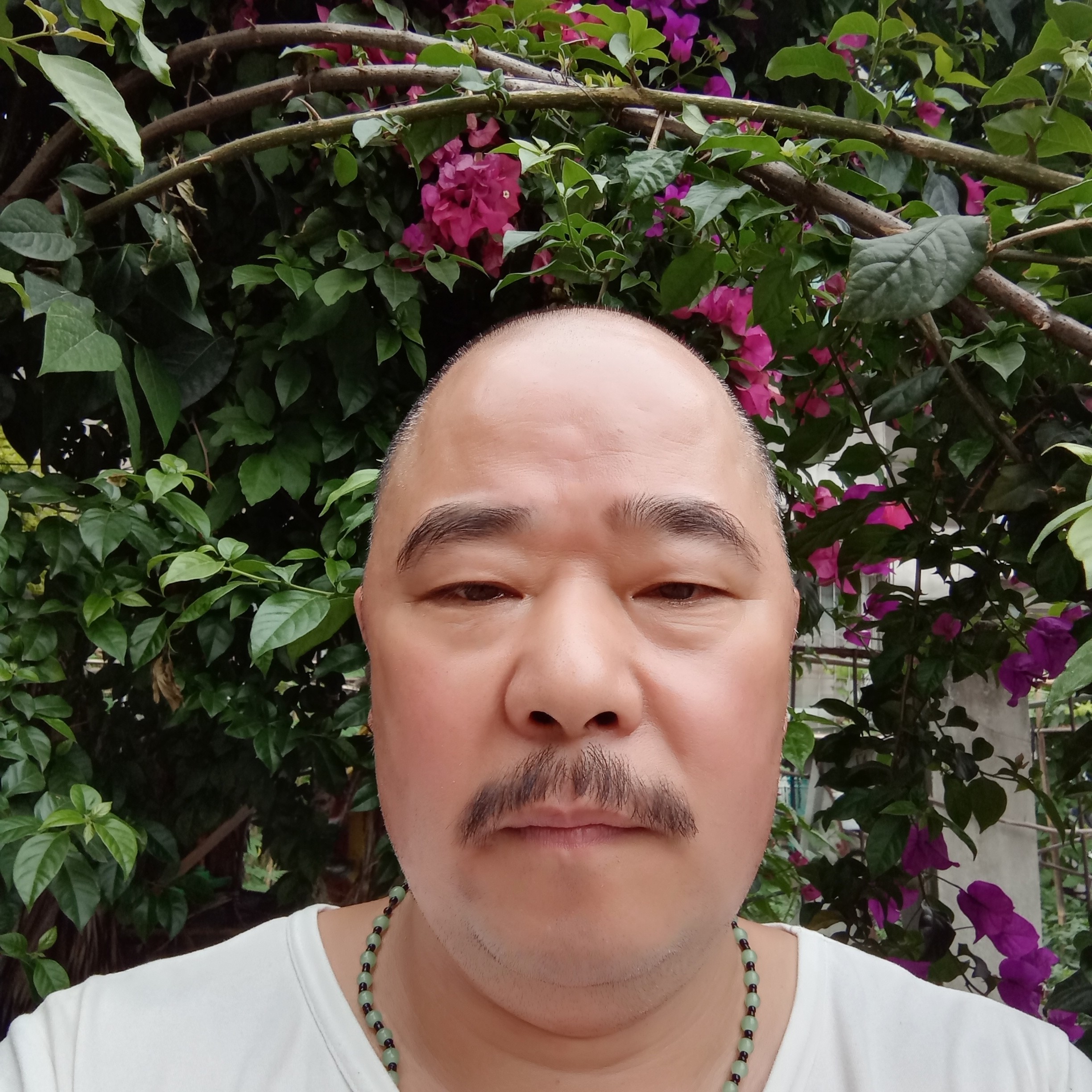 欣喜相许猎豹的照片