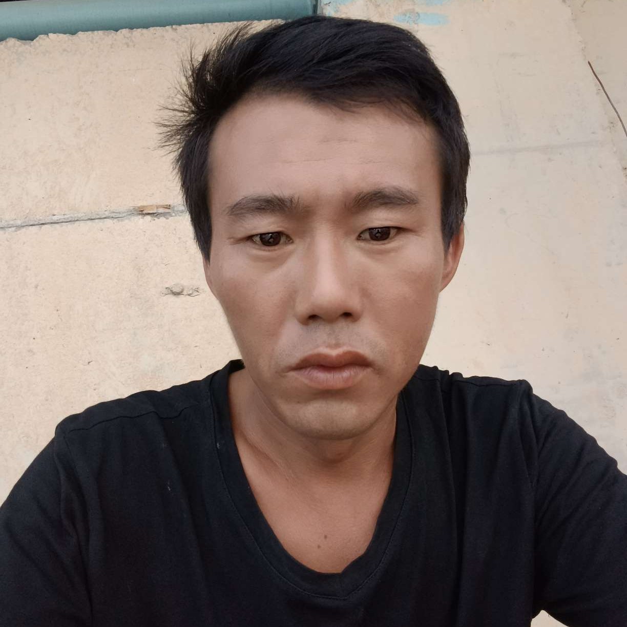 不妨的照片