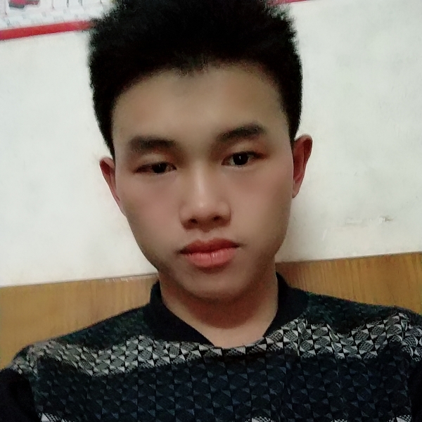 大气长颈鹿的照片