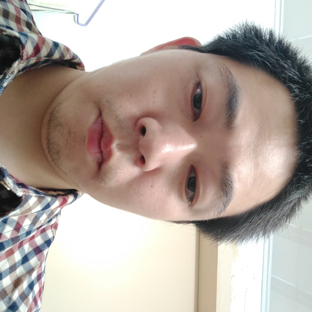 傻傻的骆驼的照片