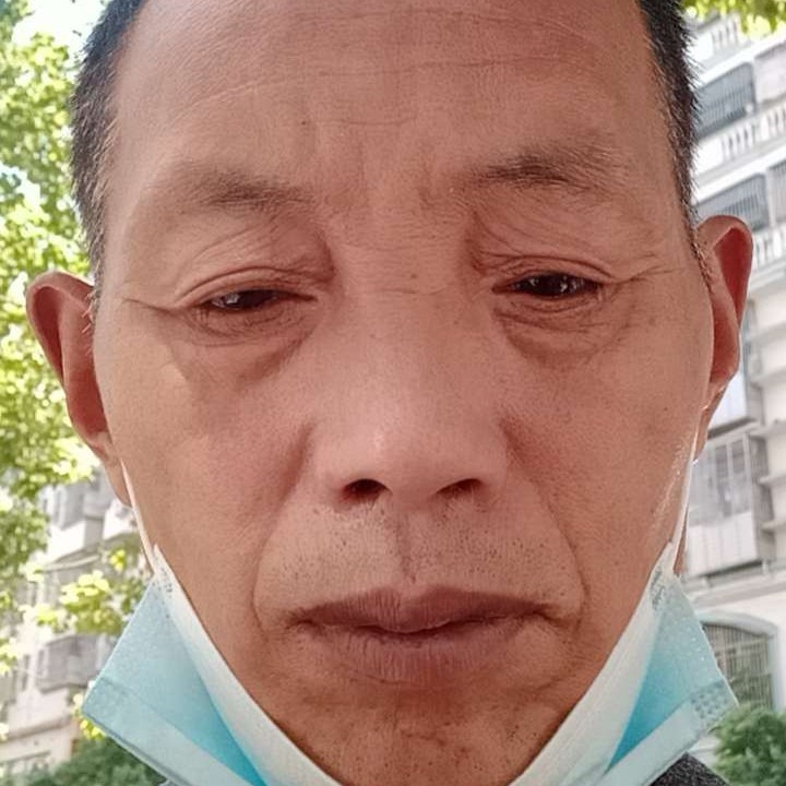 早晨回首苗条的照片